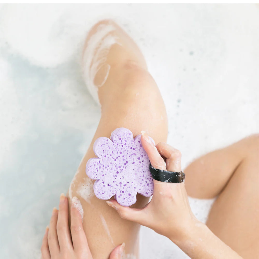 Spongelle French Lavender | Wild Flower Bath Sponge