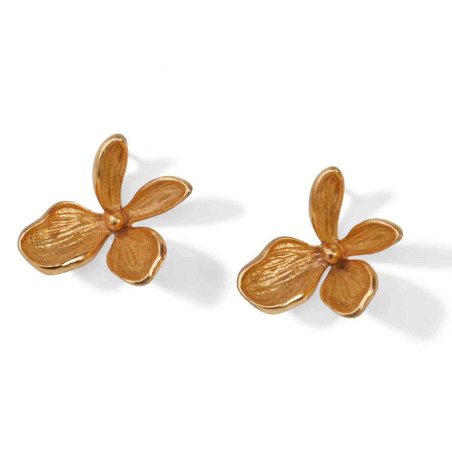 Brighton flower earrings online