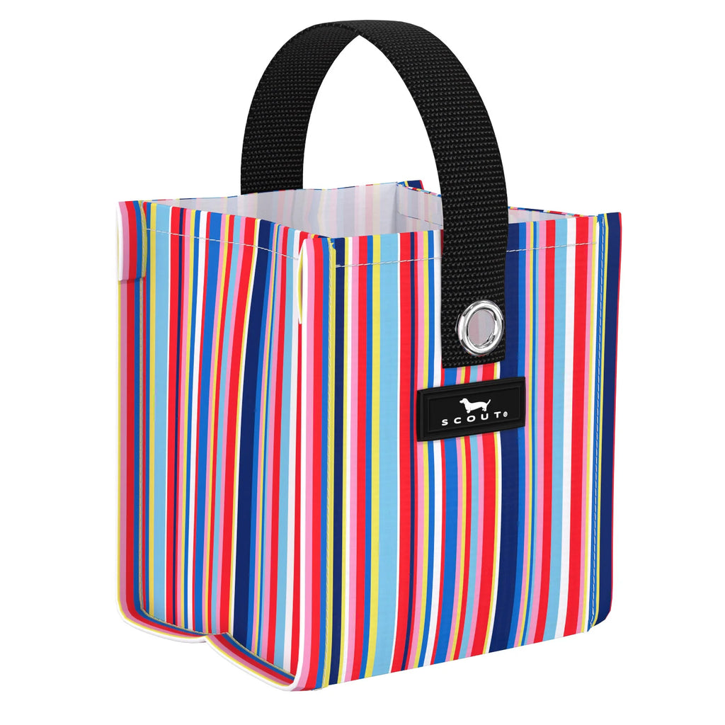 SCOUT Mini Package Gift Bag - Line and Dandy