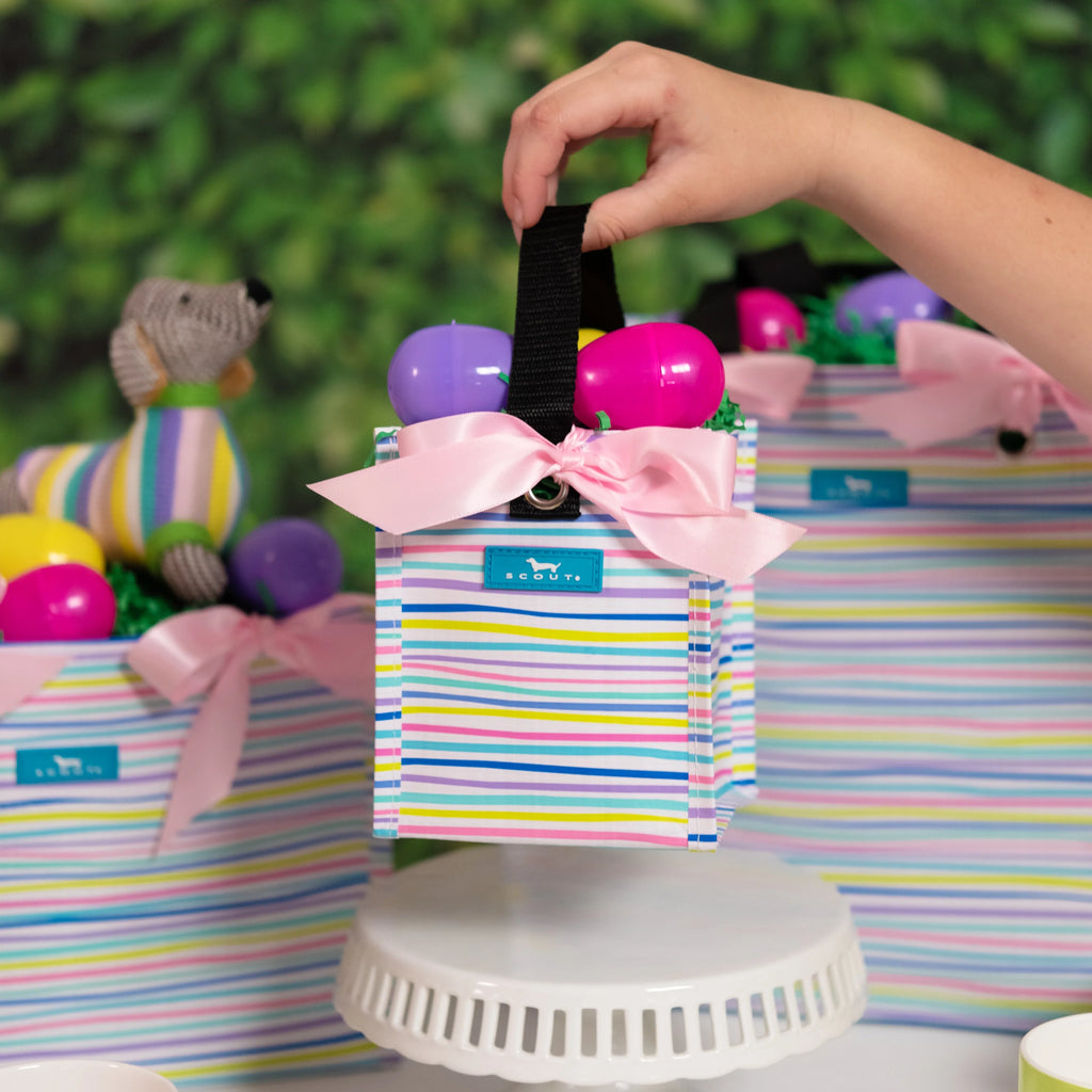 SCOUT Mini Package Gift Bag - Silly Spring