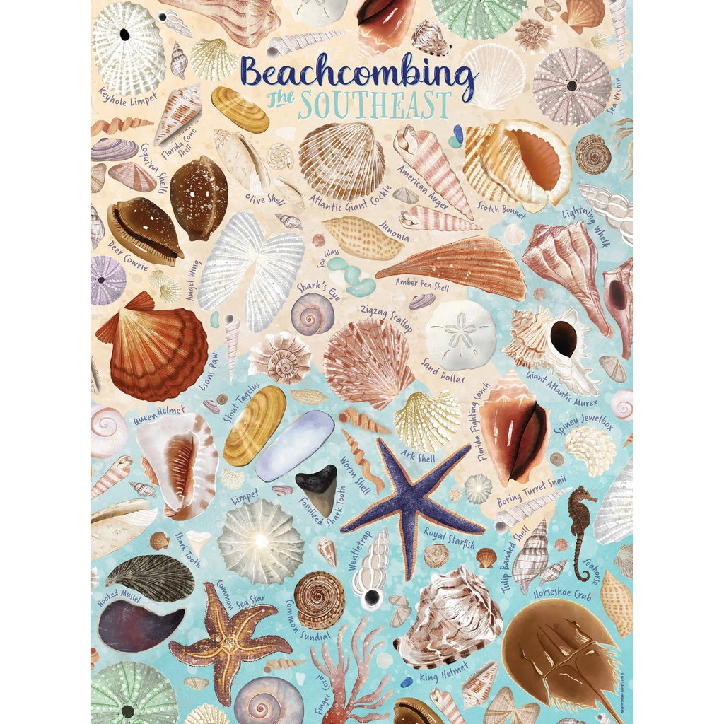 True South Puzzle Beachcombing: The Southeast