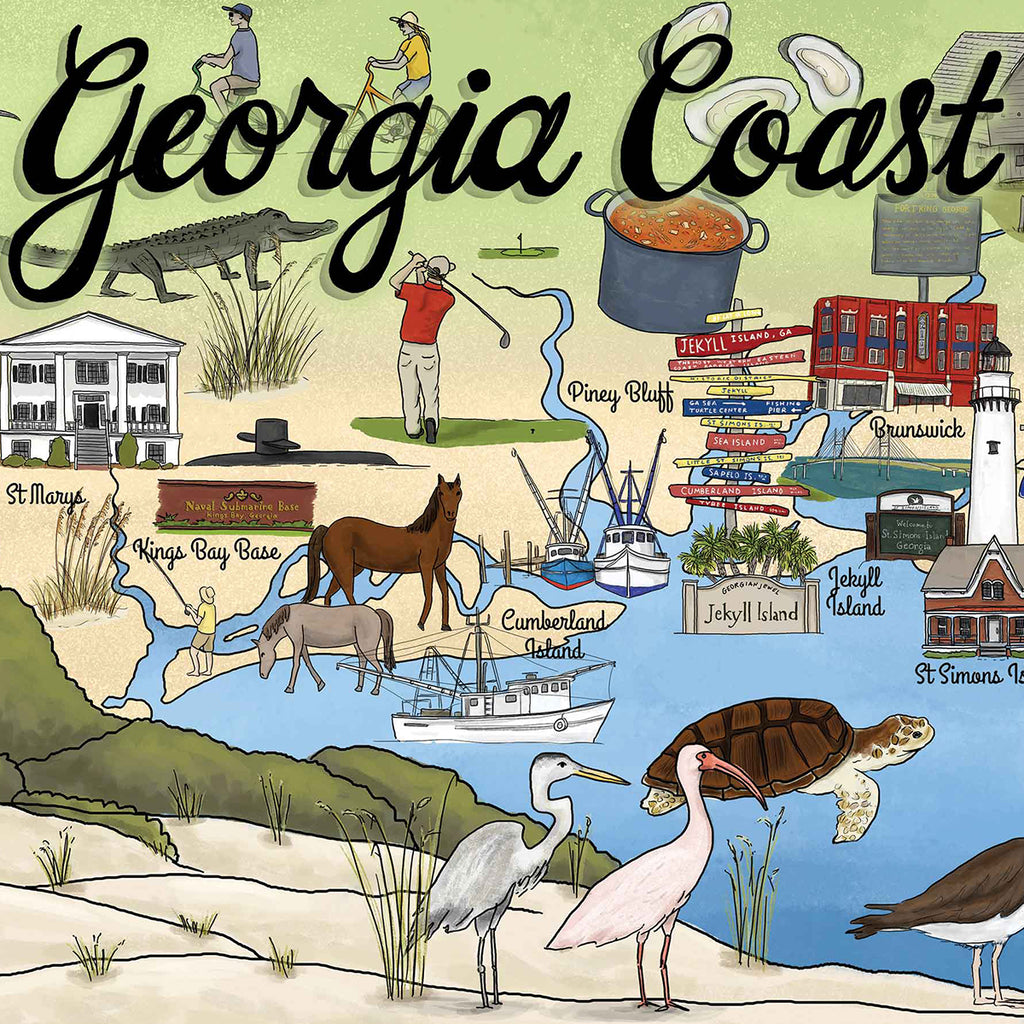 True South Puzzle Georgia Coast