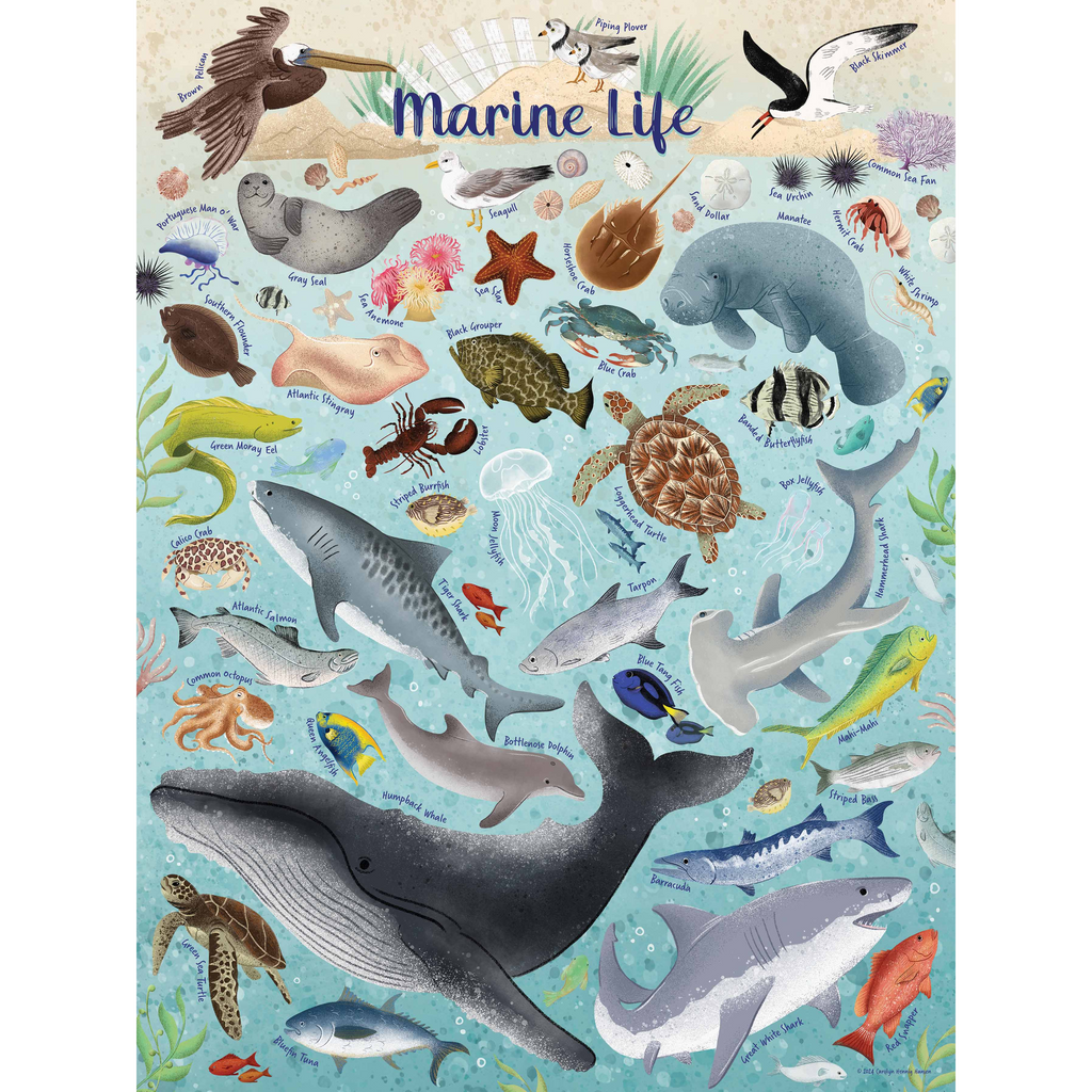 True South Puzzle Marine Life